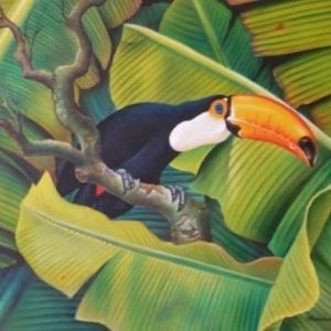 Tucan